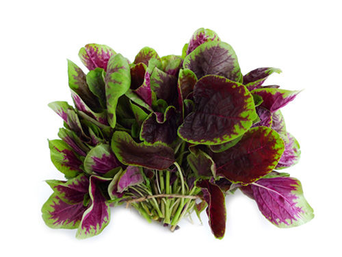 炝苋菜孩子吃好吗？作用与功效、做法、营养价值