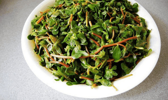 炒万年青女性吃的好处-作用与功效、做法、营养价值