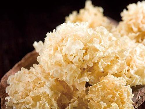 银耳桔梗苗女性吃的好处-作用与功效、做法、营养价值