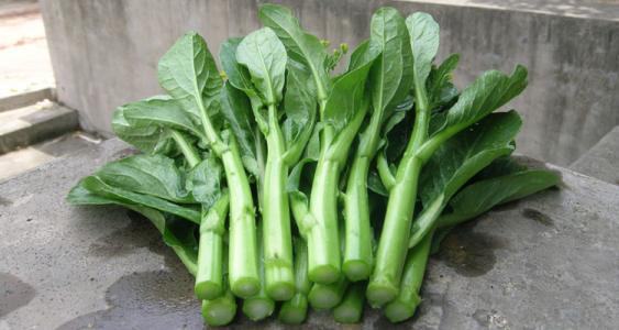 菜蕻节鲨鱼能防癌抗癌吗-作用与功效、做法、营养价值