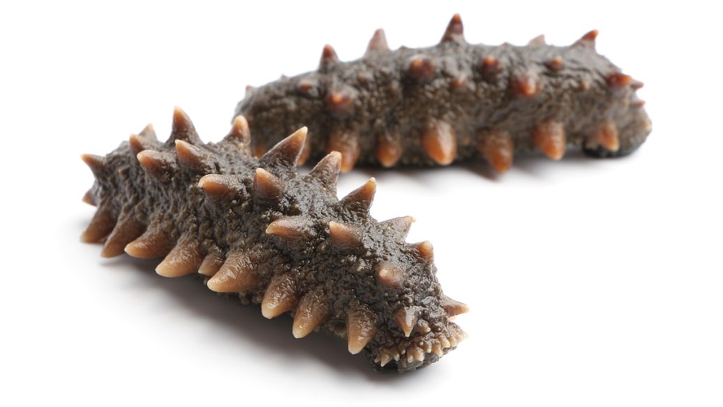 天厨海参能防癌抗癌吗-作用与功效、做法、营养价值