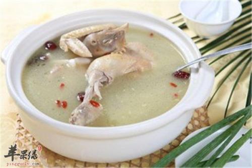 升阳举经汤的标准配方与用量-作用与功效