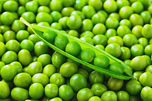 豆腐茸豌豆女性吃的好处-作用与功效、做法、营养价值