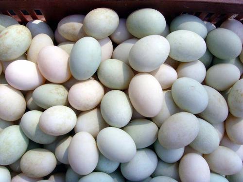 银耳炖鸭蛋女性吃的好处-作用与功效、做法、营养价值