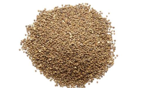 菟丝子丸的标准配方与用量-作用与功效