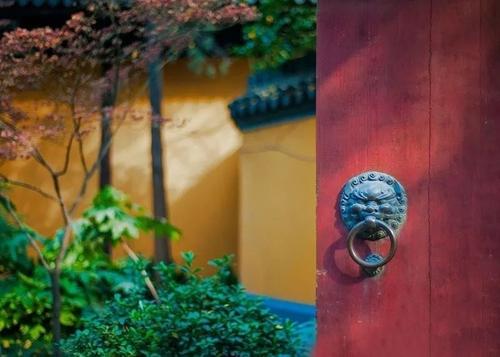 侯氏黑散的标准配方与用量-作用与功效