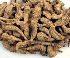 化阴煎的标准配方与用量-作用与功效