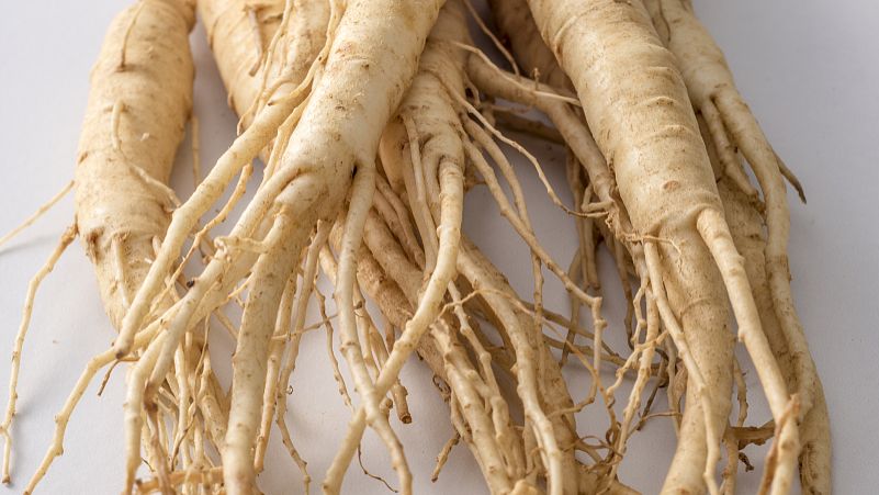 人参蛤蚧散的标准配方与用量-作用与功效