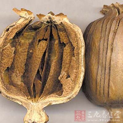 九仙散的标准配方与用量-作用与功效