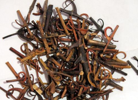 钩藤散的标准配方与用量-作用与功效