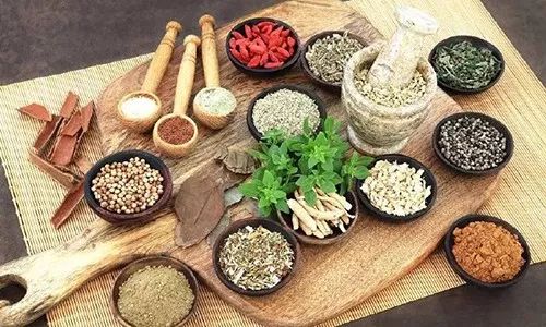 姜春华麻黄加术汤加减的配方组成、作用与功效、经验