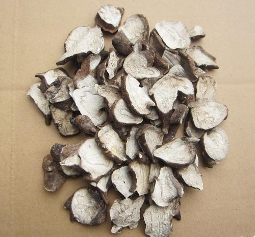 李济仁回阳救逆止血方的配方组成、作用与功效、适应症