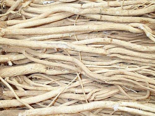 郭子光千金芦茎肺癌方的配方组成、作用与功效、适应症