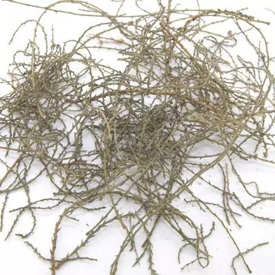 顾兆农竹叶柳蒡汤的配方组成、作用与功效、经验