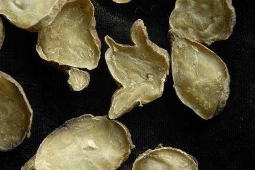 顾兆农附子理中汤加味的配方组成、作用与功效、经验
