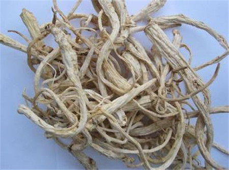 张镜人葱豉败毒散的配方组成、作用与功效、经验