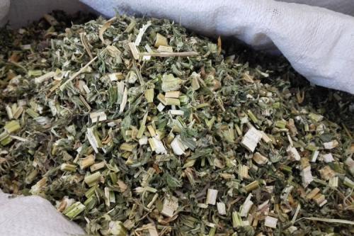 茺蔚子、老姜治痛经用法方法与经验