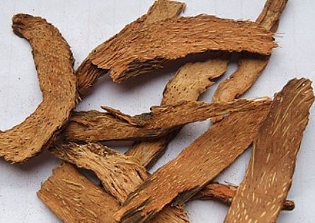 潘澄濂排脓散加味的配方组成、作用与功效、经验