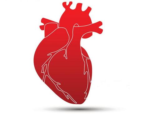 潘澄濂隐性冠心病方二的配方组成、作用与功效、经验