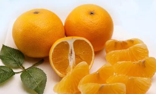 蒲辅周小儿消化不良单验方二的配方组成