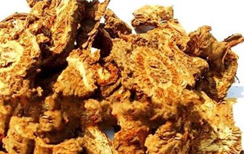 丁光迪羌活胜湿汤加减的配方组成、作用与功效、经验