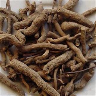 马兜铃散能治疗妇科病吗？女人使用的好处与功效