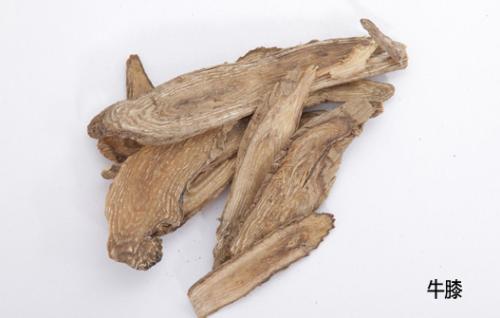 生牛膝酒能治疗妇科病吗？女人使用的好处与功效