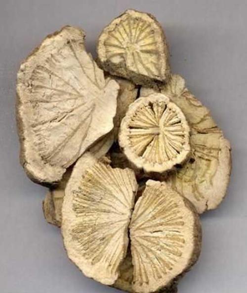 艾附暖宫丸能治疗妇科病吗？女人使用的好处与功效