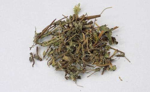 旱莲草能治疗妇科病吗?在妇科中的应用