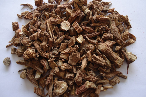 川续断能治疗妇科病吗?在妇科中的应用