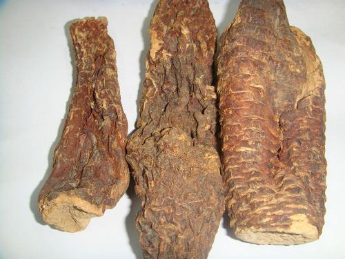 肉苁蓉能治疗妇科病吗？在妇科中的应用