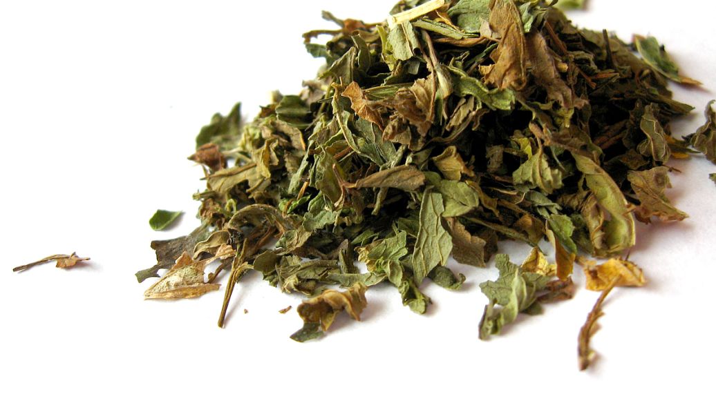 艾叶能治疗妇科病吗？在妇科中的应用