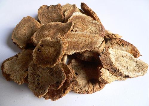 木香能治疗妇科病吗？在妇科中的应用