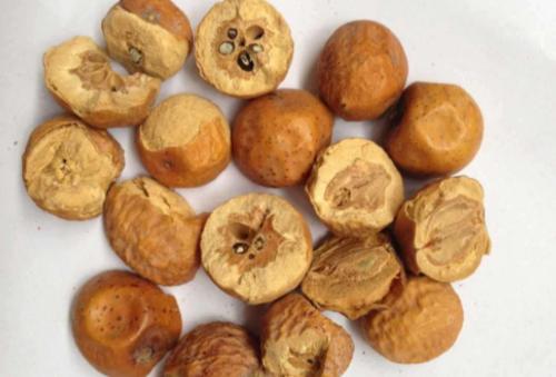 川楝子能治疗妇科病吗？在妇科中的应用