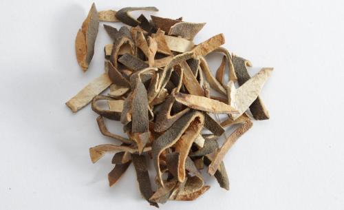 青皮能治疗妇科病吗？在妇科中的应用