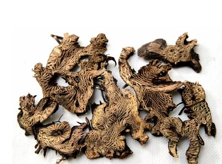 升麻能治疗妇科病吗？在妇科中的应用