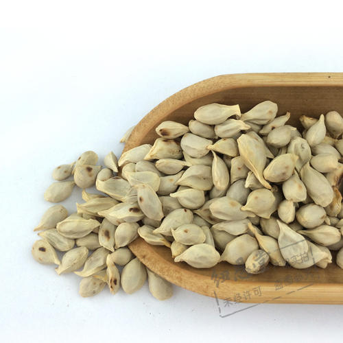 橘叶核能治疗妇科病吗？在妇科中的应用