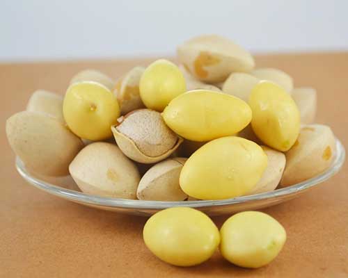 白果能治疗妇科病吗?在妇科中的应用