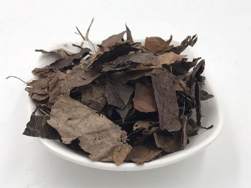 鹿衔草能治疗妇科病吗？在妇科中的应用