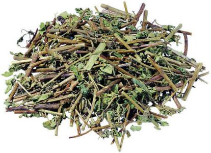 半枝莲能治疗妇科病吗？在妇科中的应用