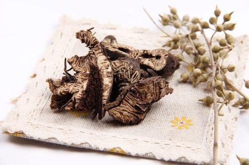 四妙通痹汤治疗膝关节骨性关节炎配方、医案、经典案例