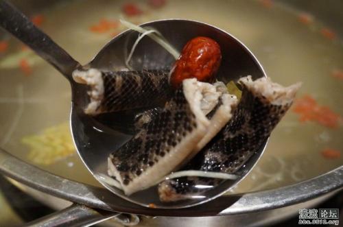 二乌梢蛇蝎汤治疗坐骨神经痛配方、医案、经典案例