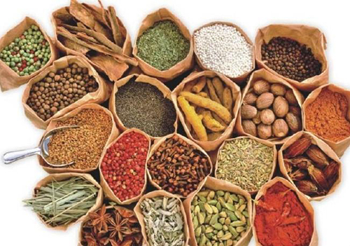 益肾生精汤2治疗死精子配方、医案、经典案例