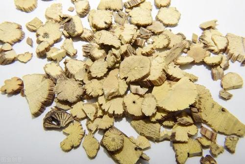 瓜蒌瞿麦散治疗糖尿病肾病配方、医案、经典案例