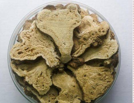 一贯煎加味治疗老年便秘配方、医案、经典案例