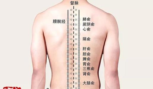 针灸配合推拿法治疗老年便秘配方、医案、经典案例