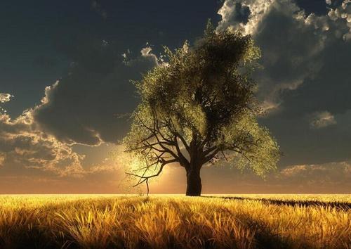 自拟方1治疗高脂血症配方、医案、经典案例