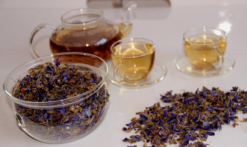 葛花决明饮治疗脂肪肝配方、医案、方法