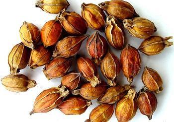 疏肝活血方治疗脂肪肝配方、医案、方法