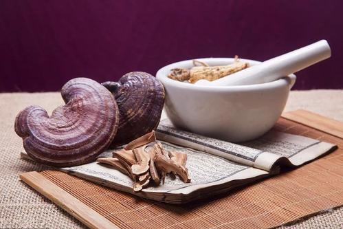 熟地菖蒲蛇肉汤能滋阴补肾壮阳吗？作用与功效、做法